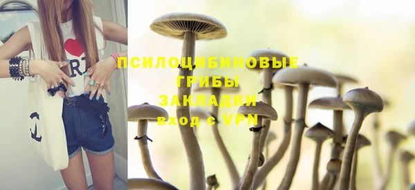 спиды Михайловск