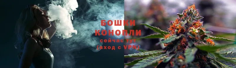 Бошки Шишки планчик  KRAKEN вход  Кувшиново  где купить наркотик 